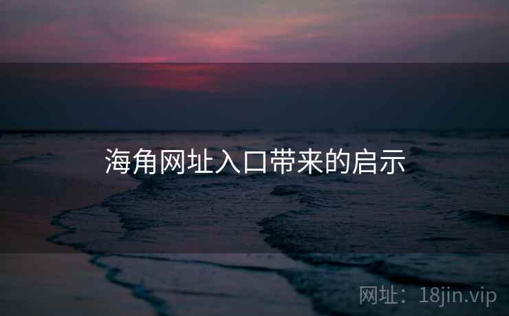 海角网址入口带来的启示