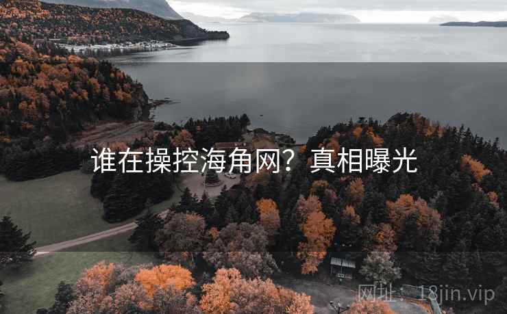 谁在操控海角网？真相曝光